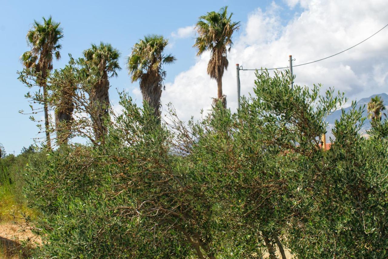 Villas Kozilis - Kozilis Estate Damnoni Bagian luar foto